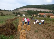 Počinje akcija BIR za naša Sjemeništa