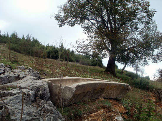 U ono vrijeme: Reče Isus glavarima svećeničkim i starješinama narodnim:
„Drugu prispodobu čujte!
Bijaše neki domaćin koji posadi vinograd, ogradi ga ogradom, iskopa u njemu tijesak i podiže kulu pa ga iznajmi vinogradarima i otputova.
Kad se približilo vrijeme plodova, posla svoje sluge vinogradarima da uzmu njegov urod. A vinogradari pograbe njegove sluge pa jednoga istukoše, drugog ubiše, a trećega kamenovaše.
I opet posla druge sluge, više njih nego prije, ali oni i s njima postupiše jednako.
Naposljetku posla k njima sina svoga misleći: 'Poštovat će mog sina.' Ali kad vinogradari ugledaju sina, rekoše među sobom: 'Ovo je baštinik! Hajde da ga ubijemo i imat ćemo baštinu njegovu!'
I pograbe ga, izbace iz vinograda i ubiju.
Kada dakle dođe gospodar vinograda, što će učiniti s tim vinogradarima?“
Kažu mu: „Opake će nemilo pogubiti, a vinograd iznajmiti drugim vinogradarima što će mu davati urod u svoje vrijeme.“
Kaže im Isus: „Zar nikada niste čitali u Pismima:
Kamen što ga odbaciše graditelji
postade kamen zaglavni.
Gospodnje je to djelo –
kakvo čudo u očima našim!
Zato će se - kažem vam - oduzeti od vas kraljevstvo Božje i dat će se narodu koji donosi njegove plodove!“

(Evanđelje po Mateju 21,33-43)