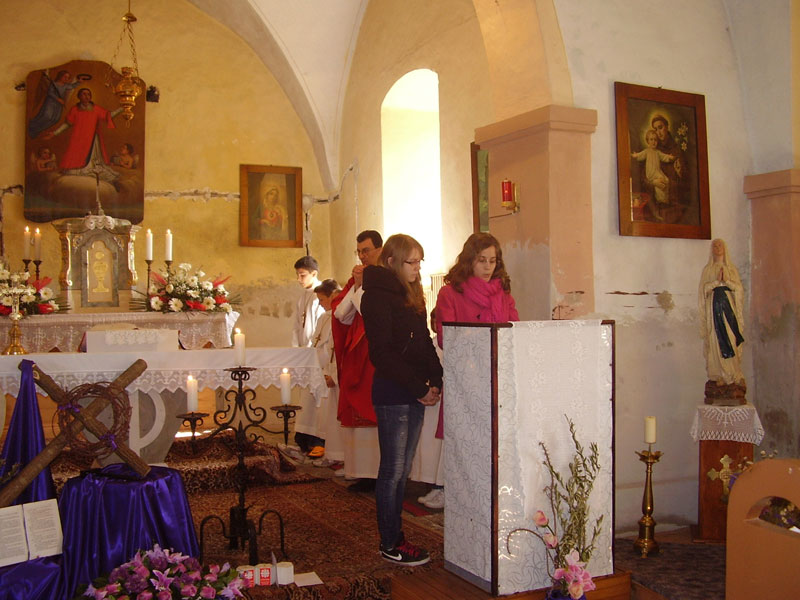 Cvjetnica u Kompolju i Brlogu