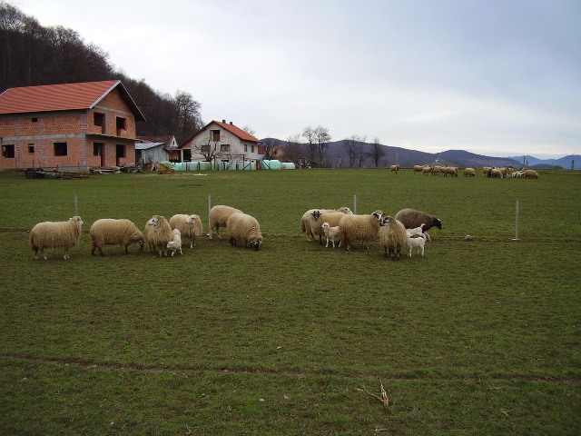 BLAGOSLOV – šesti dan!