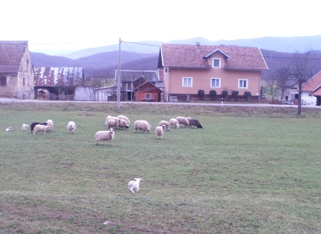 U ono vrijeme reče Isus svojim učenicima:
"Uistinu kažem vam: ne bude li pravednost vaša veća od pravednosti pismoznanaca i farizeja, ne, nećete ući u kraljevstvo nebesko!(...)
Čuli ste da je rečeno starima: Ne ubij! Tko ubije, bit će podvrgnut sudu.
A ja vam kažem: Svaki koji se srdi na brata svoga, bit će podvrgnut sudu!(...)
Čuli ste da je rečeno: Ne čini preljuba!
A ja vam kažem: Tko god s požudom pogleda ženu, već je s njome učinio preljub u srcu!(...)
Čuli ste još da je rečeno starima: Ne zaklinji se krivo, nego izvrši Gospodinu svoje zakletve.
A ja vam kažem: Ne kunite se nikako! Vaša riječ neka bude: 'Da, da, - ne, ne!' Što je više od toga, od Zloga je."
(iz Evanđelja po Mateju - usp. 5,20-37)